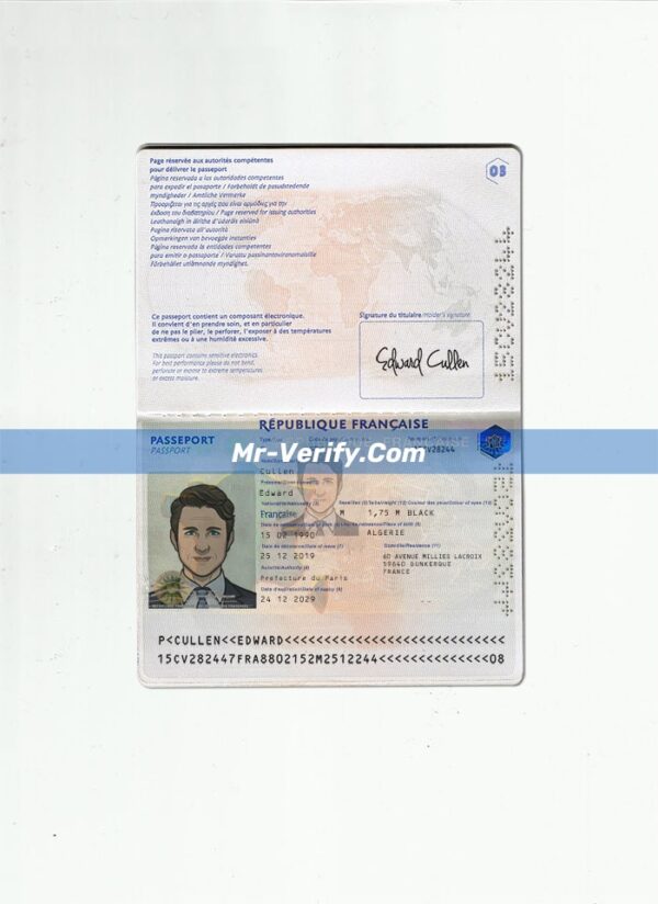 Downloadable editable france passport Template