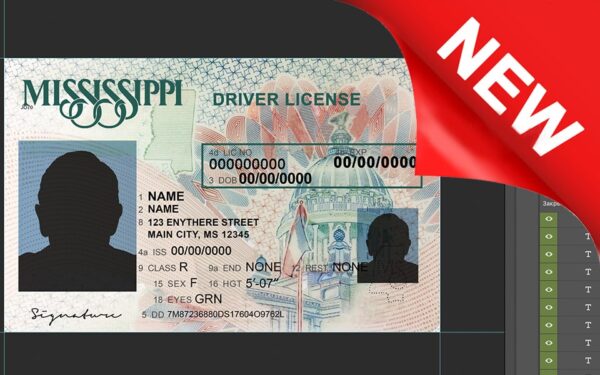 Missisippi driver license Psd Template