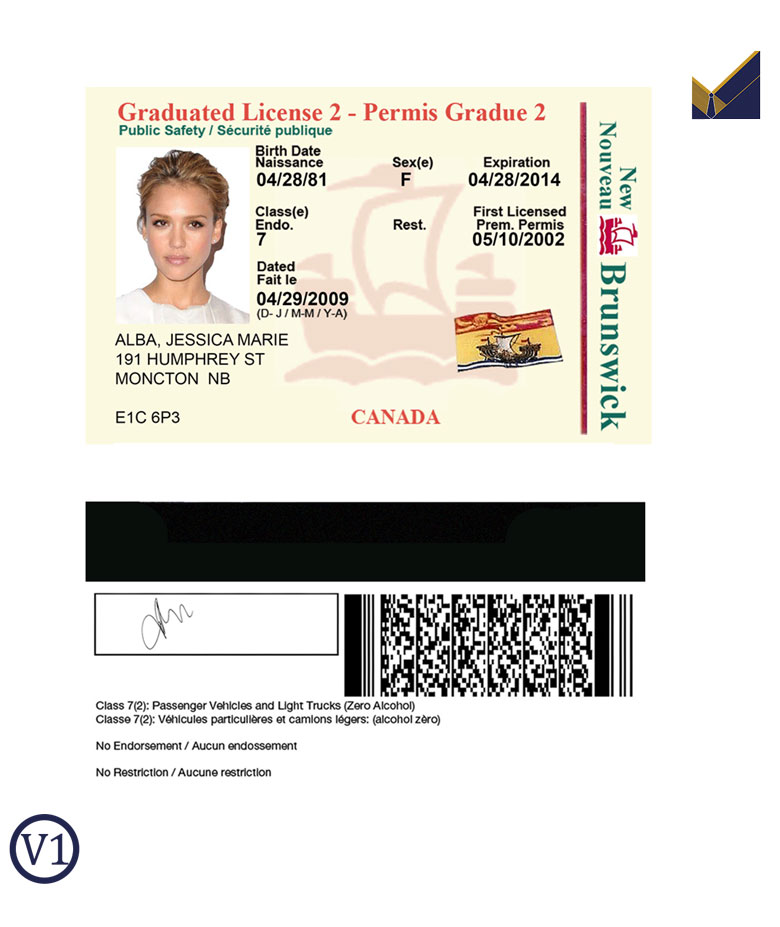 Ontario-Driver-License-Template