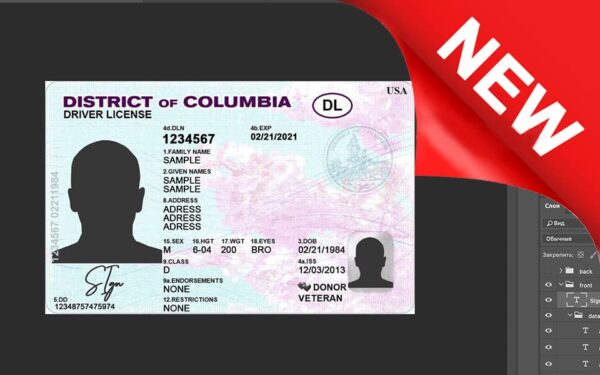 District of Columbia driver license Psd Template New