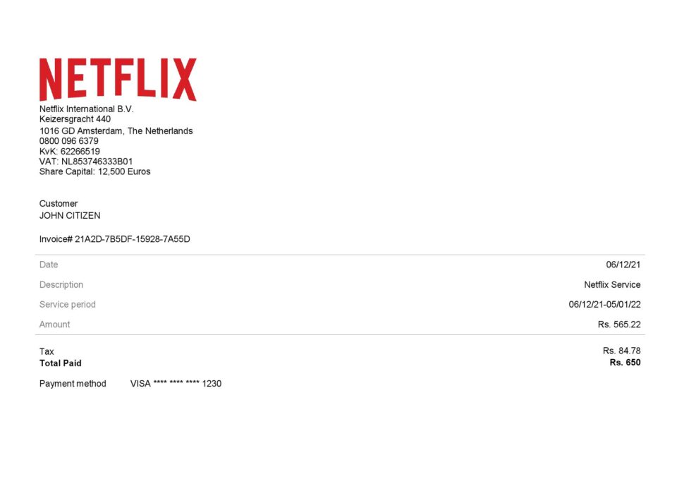 USA Netflix invoice template in Word and PDF format
